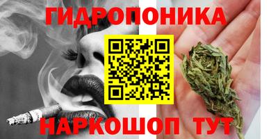 СК Рыбинск