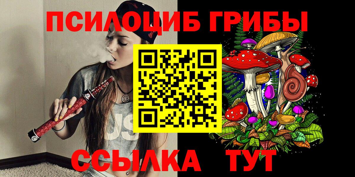 Псилоцибиновые грибы Cubensis  Вход с VPN  Пенза 